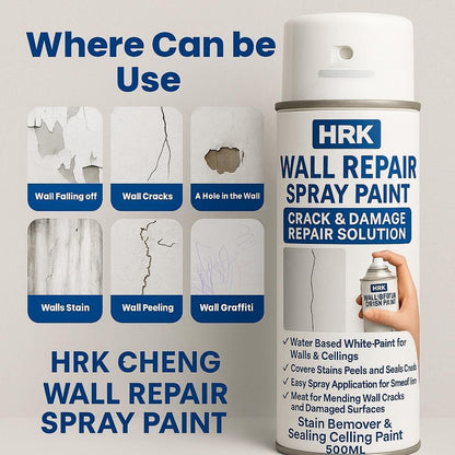 Wall Repair Spray Paint 500Ml